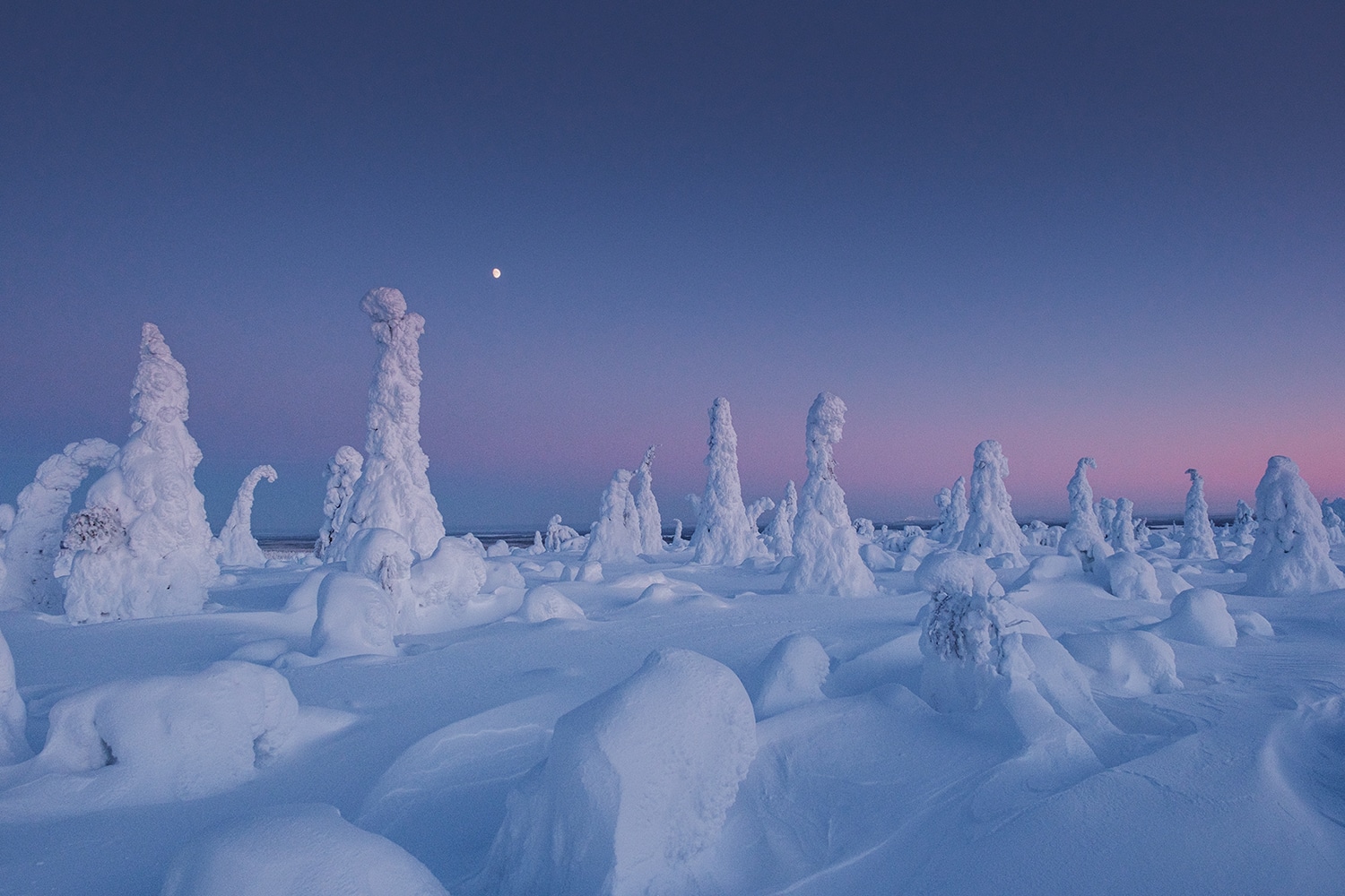Paysage enneigé de Laponie sous un ciel d'aurores boréales